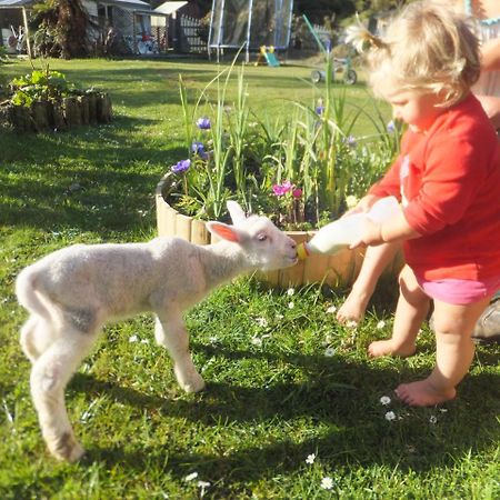 Little Paradise & Petting Farm Greymouth Exterior foto